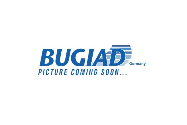 Obrázok Hadica plniaceho vzduchu BUGIAD  82359