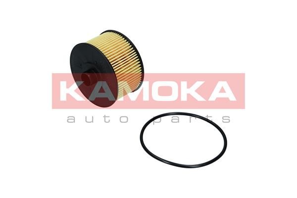 Obrázok Olejový filter KAMOKA  F116501