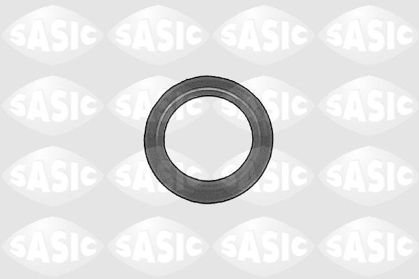 Obrázok Tesniaci krúżok hriadeľa diferenciálu SASIC  1213093