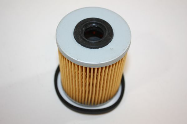 Obrázok Palivový filter AUTOMEGA  180015010